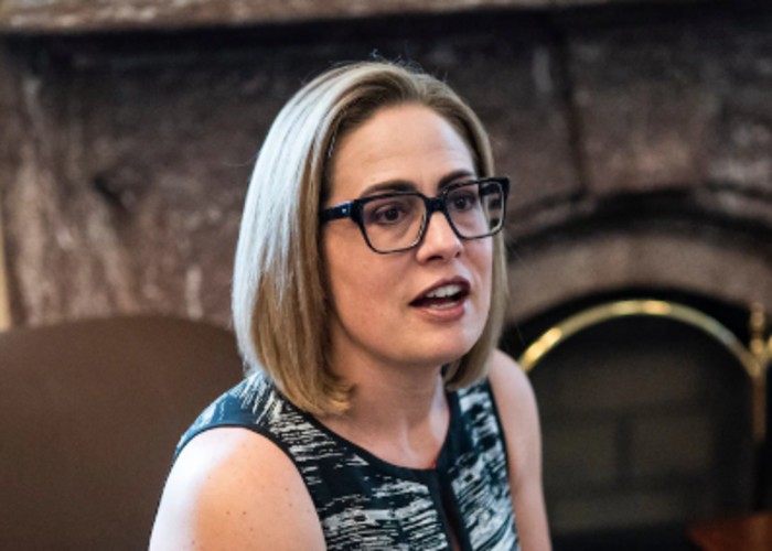 Kyrsten Sinema Affair Bodyguard