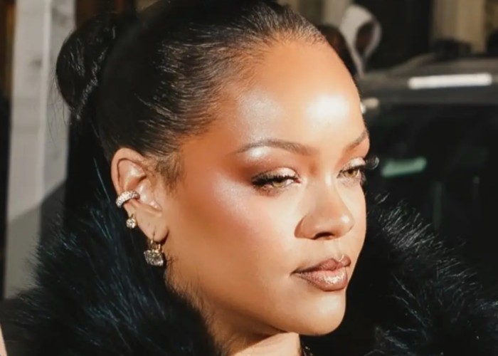 Rihanna Pop Star Net Worth