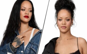 Rihanna Was Hit by Gunfire